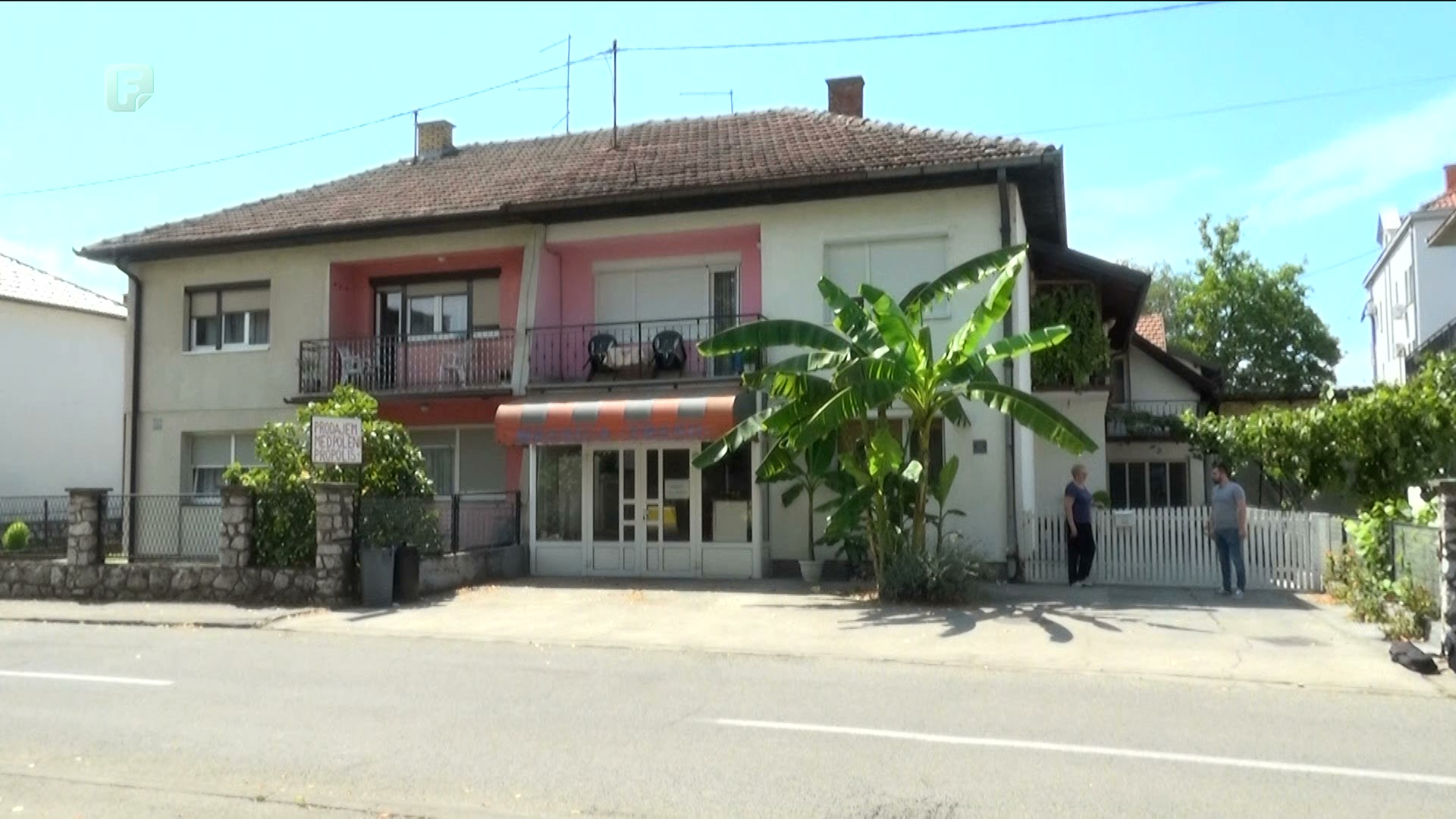 Banana se uzgaja i u našoj zemlji